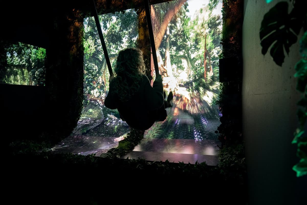 AMAZE: The Immersive Experience