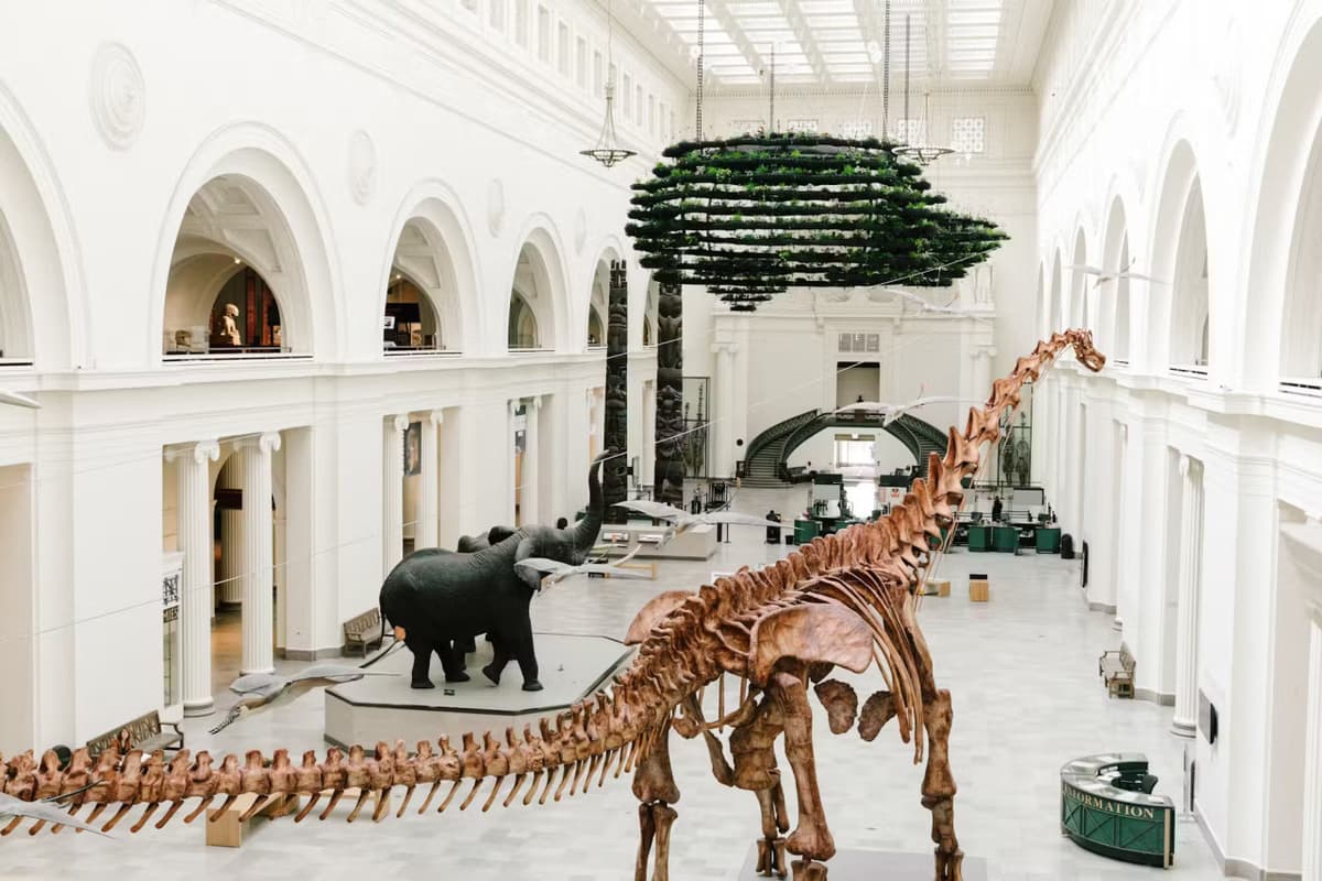 Chicago CityPASS: Admission to 5 Top Attractions