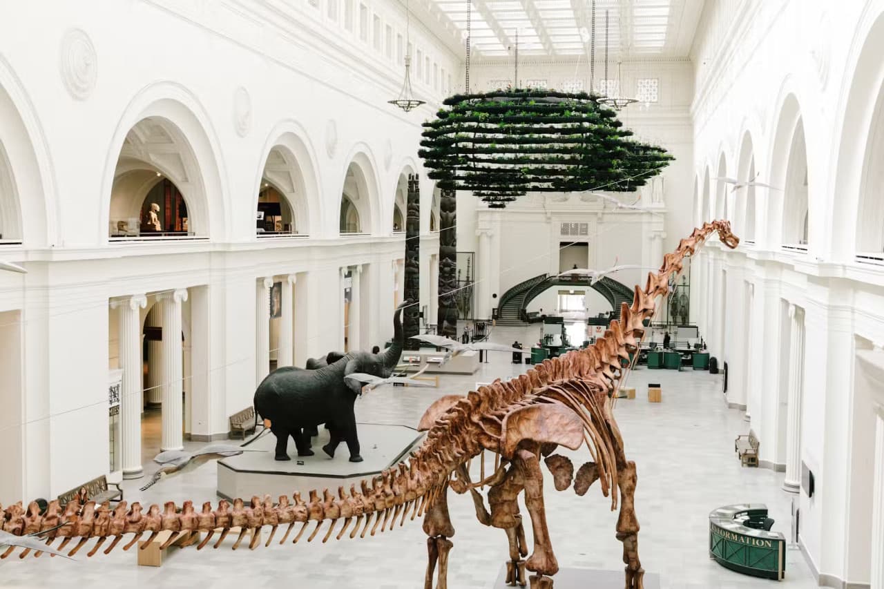 Chicago CityPASS: Admission to 5 Top Attractions