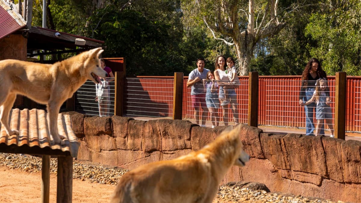 Dreamworld, WhiteWater World, and SkyPoint Gold Coast Multi-day Ticket