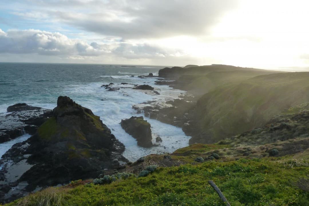Phillip Island with Penguin Parade Eco Tour