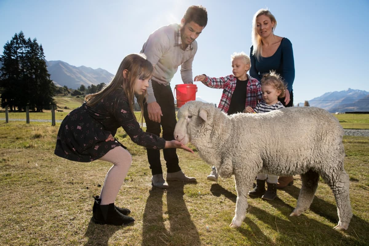 Mt. Nicholas Farm Experience with Lake Wakatipu Cruise
