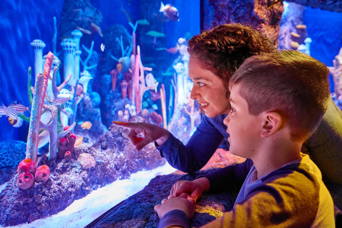 SEA LIFE New Jersey Aquarium Ticket