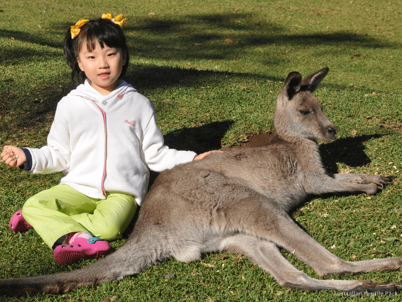 Australian Reptile Park – photo 15