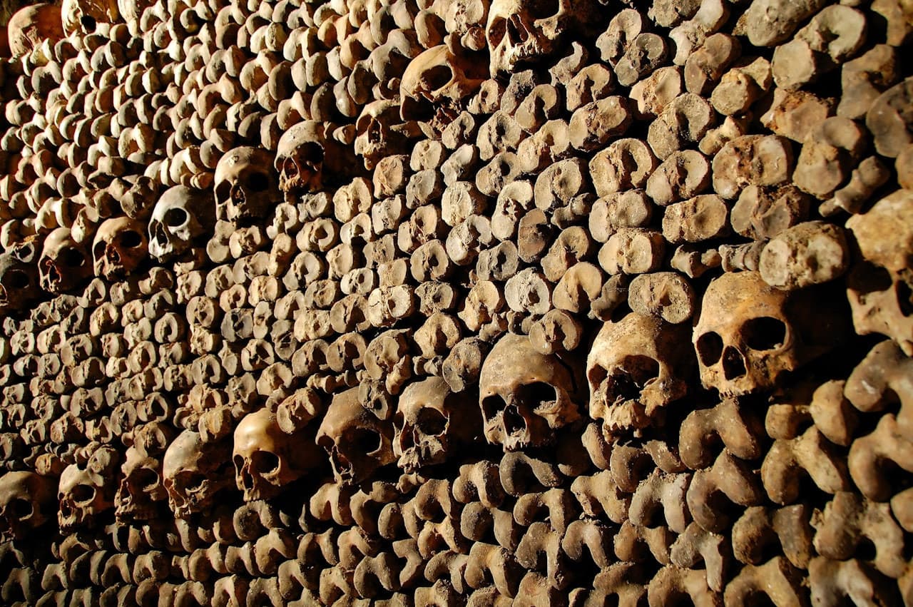 The Paris Catacombs - Skip-the-line with Audio Guide – photo 4