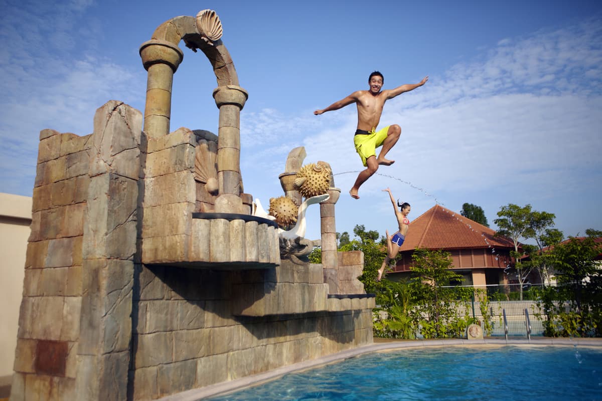 Adventure Cove Waterpark Ticket