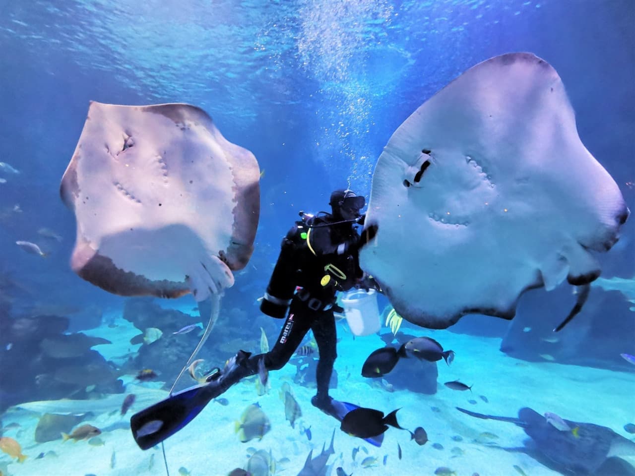 Aquaria Phuket – photo 29