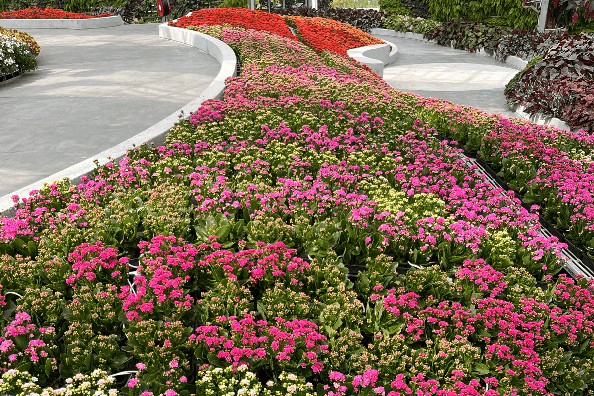 Eufloria Gardens & Sculpture Park in Genting Ticket
