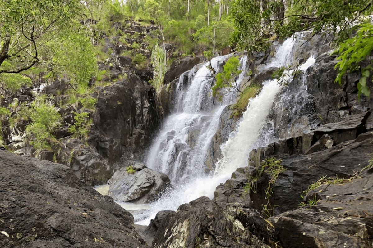 Cedar Creek Falls Tour