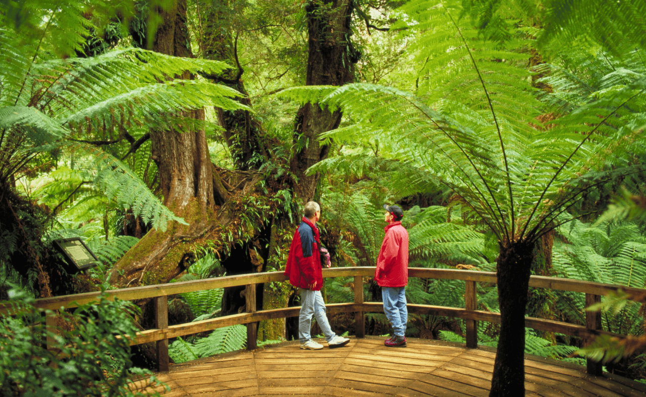 Great Ocean Road Tour from Melbourne – photo 27