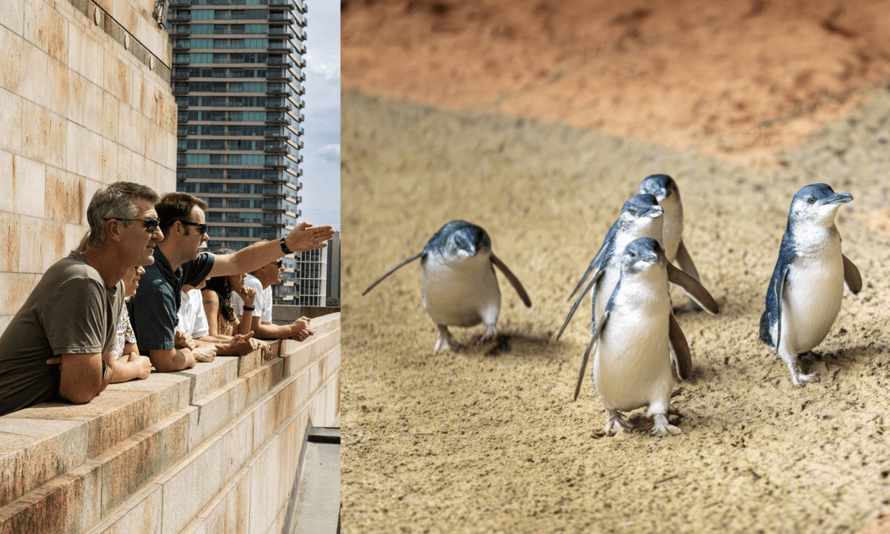 Melbourne City Discovery Tour with Penguin Parade – photo 16