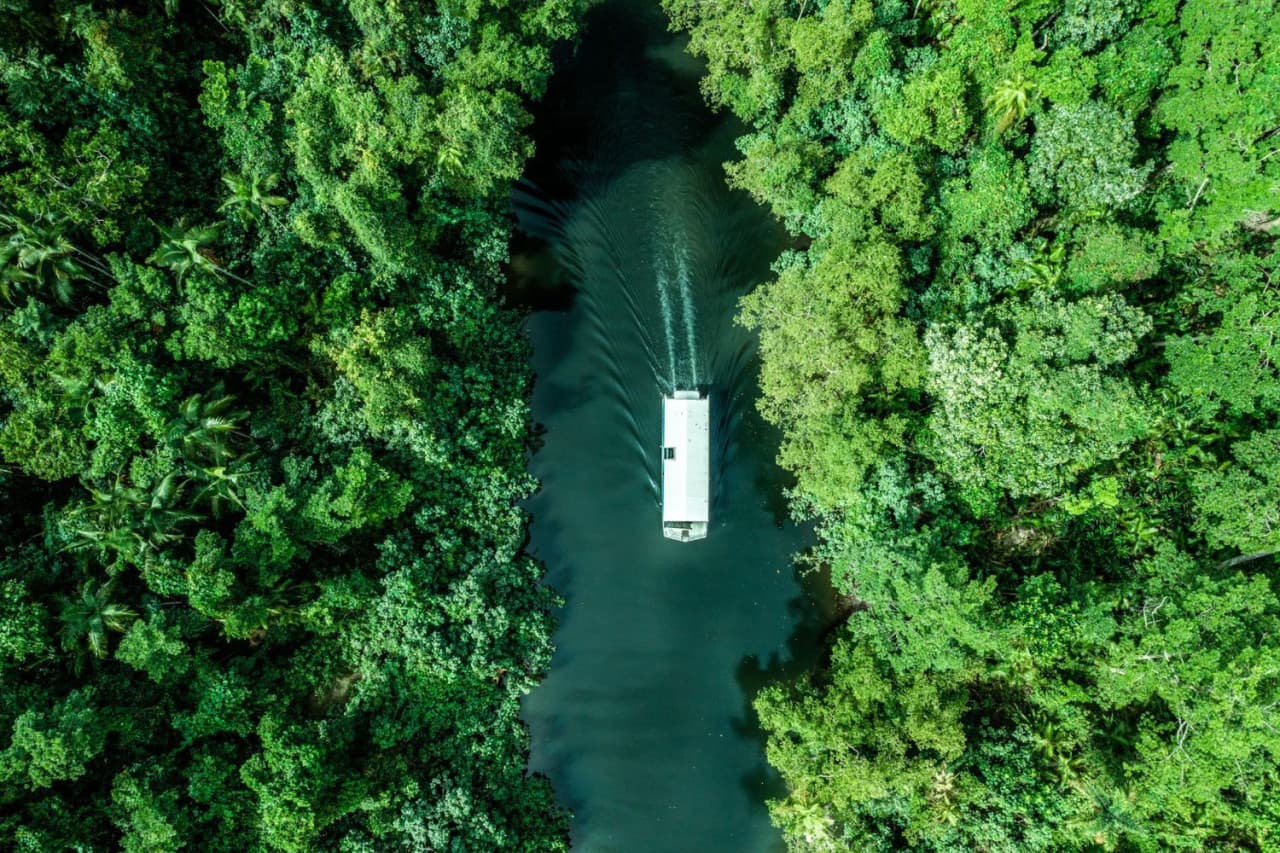 Daintree, Mossman Gorge, and Wildlife Habitat Port Douglas Full-Day Tour – photo 2