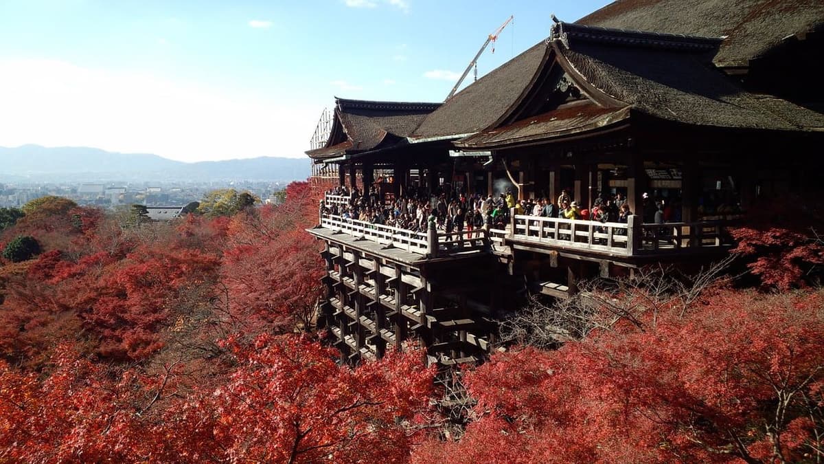 Kyoto Full-Day Tour: Nijo Castle, Kinkaku-ji,  Fushimi Inari Taisha, Kiyomizu-dera Temple