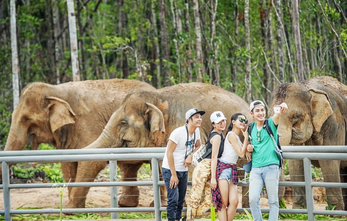 Vinpearl Safari Phu Quoc Ticket