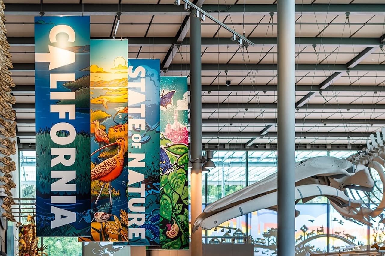 California Academy of Sciences Ticket