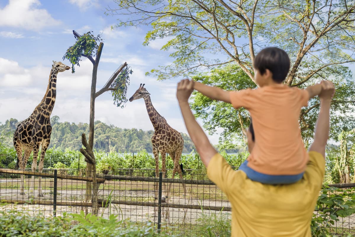 2-Park Destination Pass: Singapore Zoo + Exploria Ticket