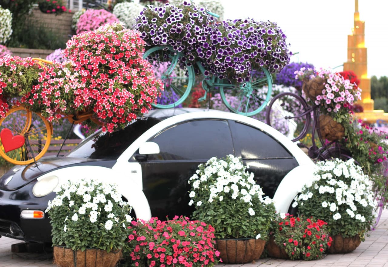 Dubai Miracle Garden Ticket – photo 11