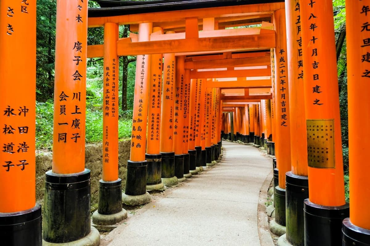Kyoto Full-Day Tour: Nijo Castle, Kinkaku-ji,  Fushimi Inari Taisha, Kiyomizu-dera Temple