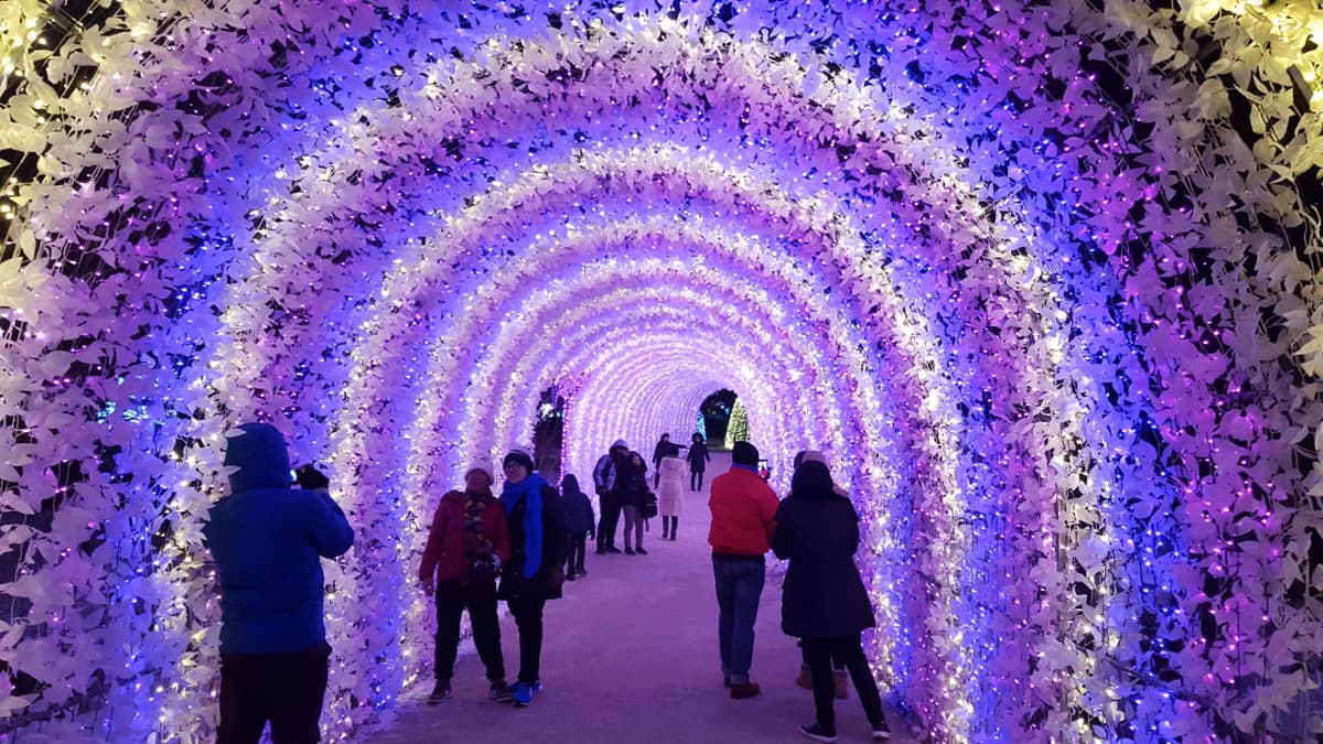 Nami Island, Mount Seorak, and Garden of Morning Calm Full-Day Tour from Seoul