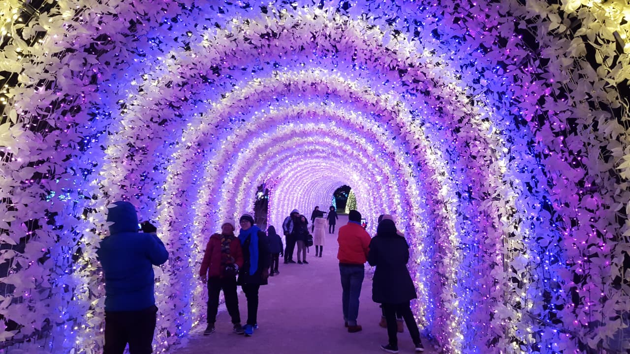 Nami Island, Mount Seorak, and Garden of Morning Calm Full-Day Tour from Seoul