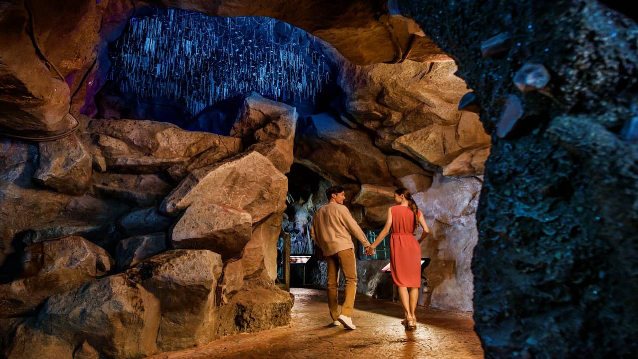 5-in-1 Day Pass: Night Safari + Singapore Zoo + Bird Paradise + River Wonders + Rainforest Asia – photo 20