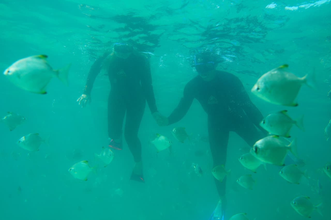Moreton Island 4WD Tour – photo 16