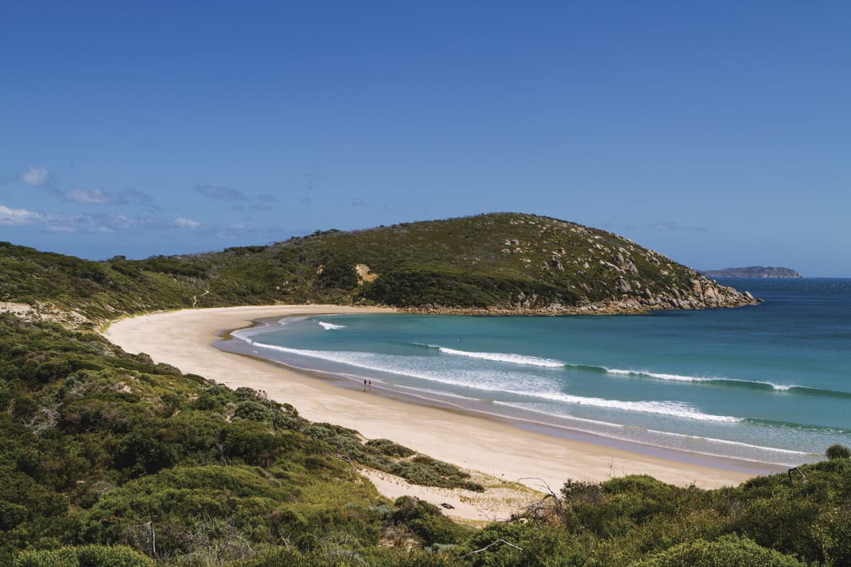 Wilsons Promontory National Park Tour from Melbourne
