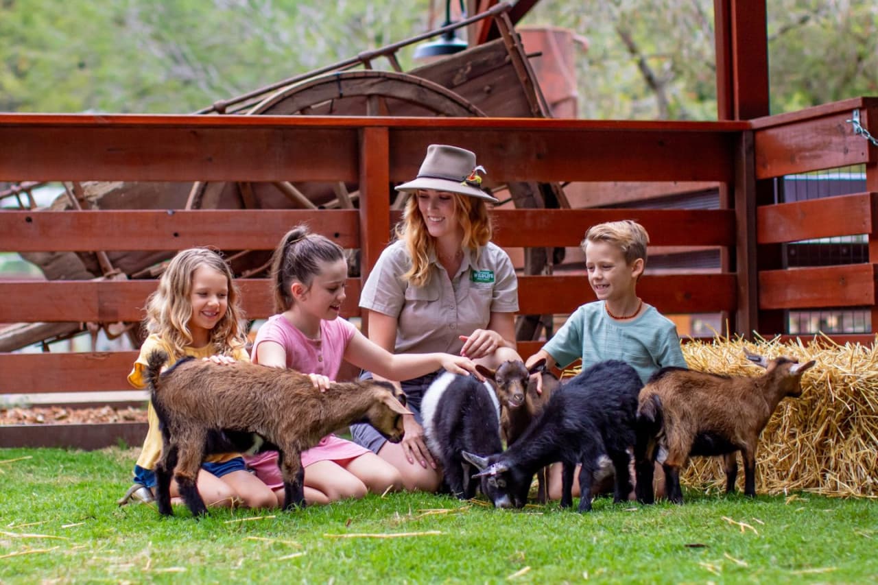 Currumbin Wildlife Sanctuary Ticket – photo 6
