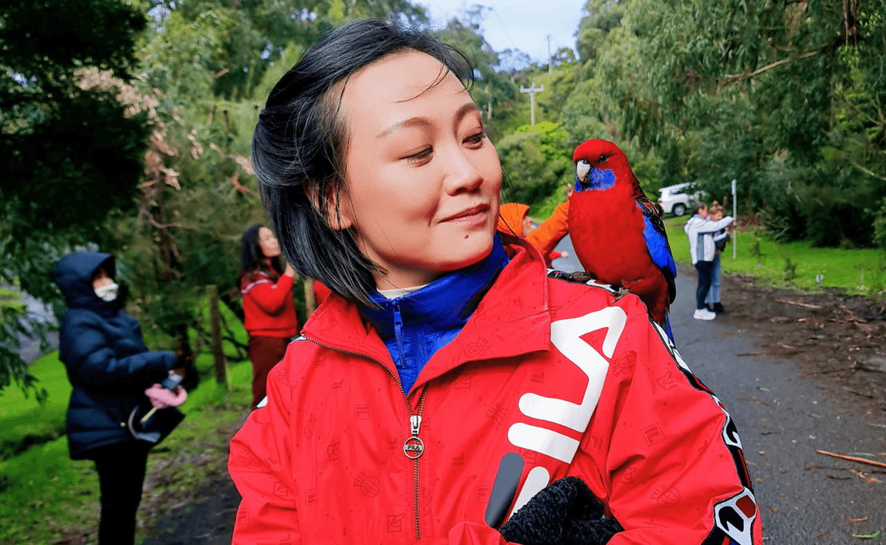 Great Ocean Road Tour from Melbourne – photo 16
