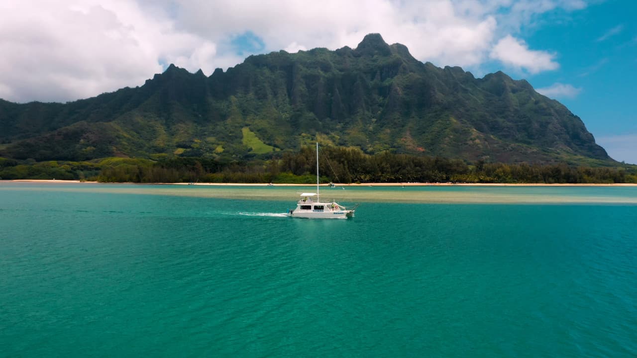 Go City Oahu Explorer Pass: Save up to 50% on Attractions – photo 50