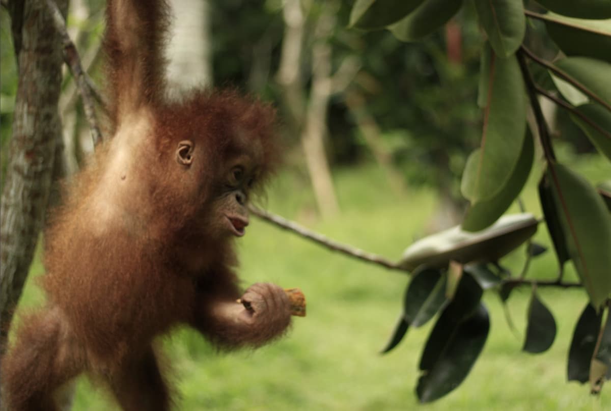 Lombok Wildlife Park