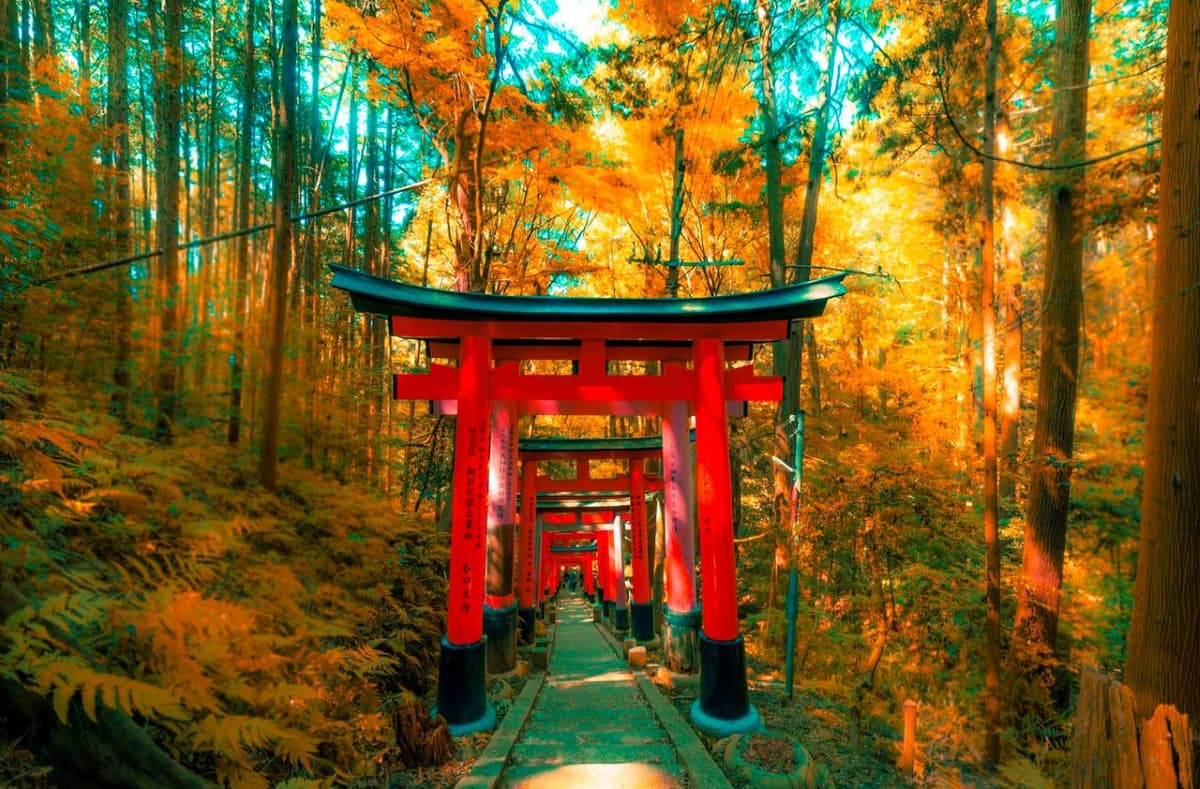 Kyoto Full-Day Tour: Nijo Castle, Kinkaku-ji,  Fushimi Inari Taisha, Kiyomizu-dera Temple