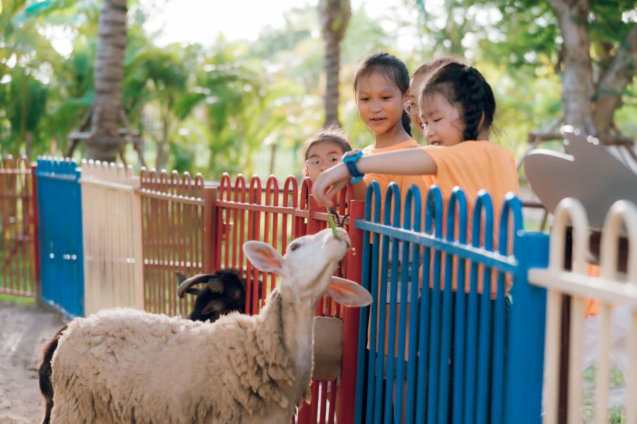 VinWonders Nam Hoi An Amusement Park Ticket – photo 11