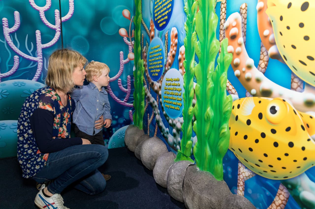 SEA LIFE Kelly Tarlton's Aquarium Ticket – photo 14