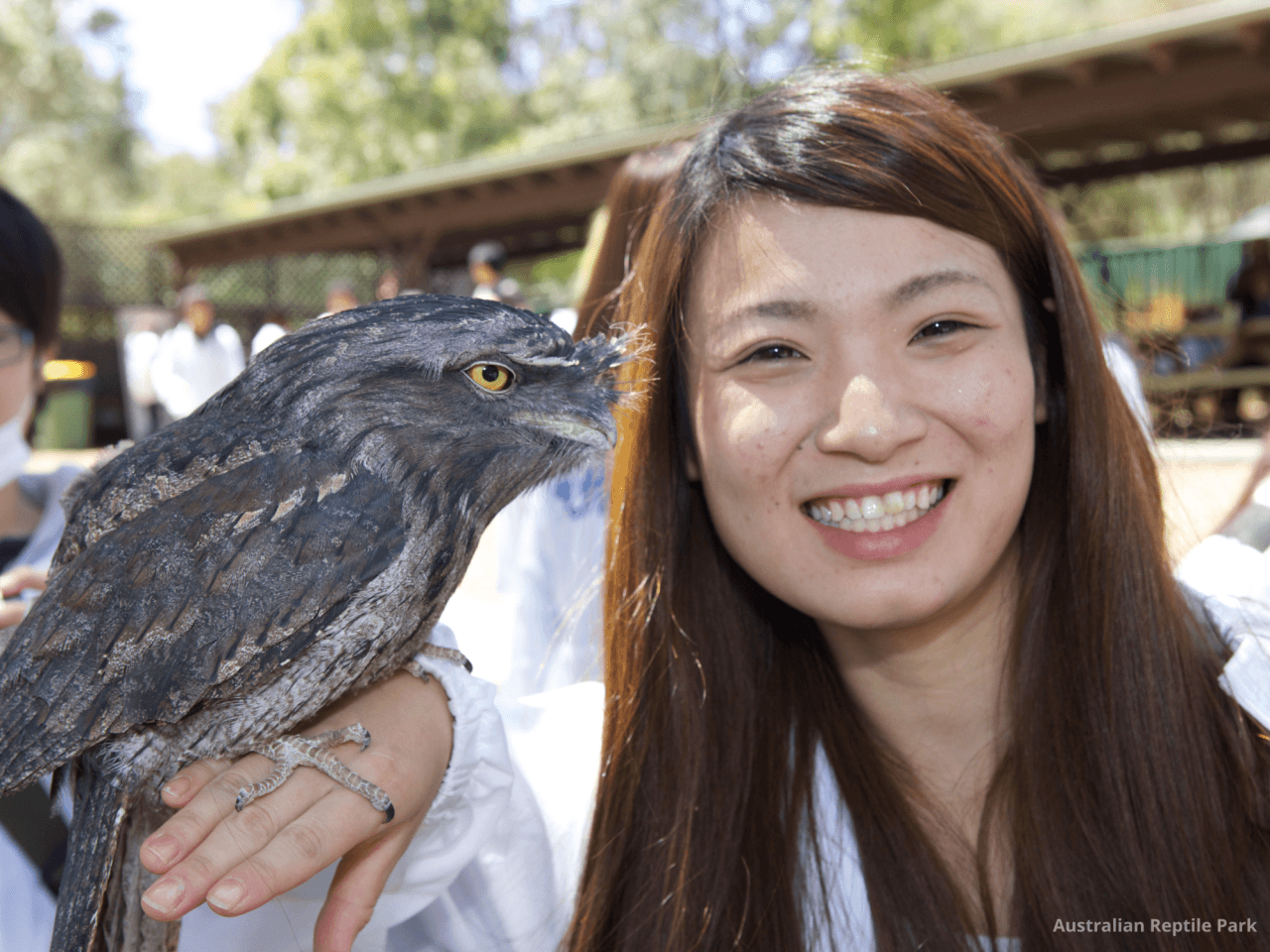 Australian Reptile Park – photo 42