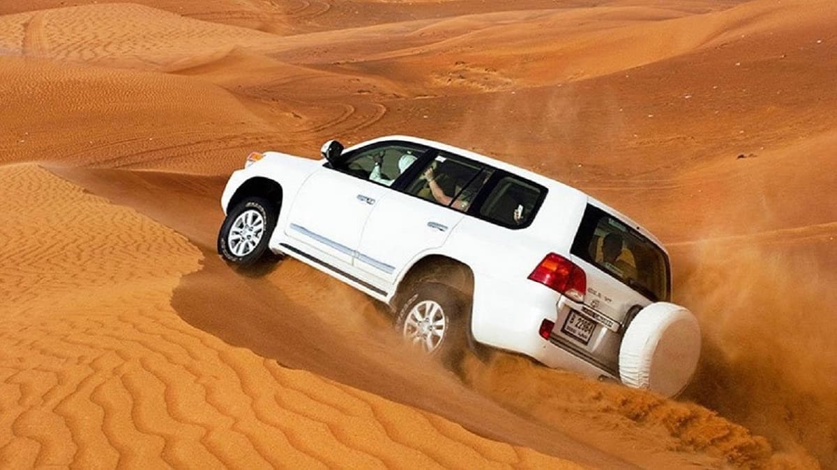 Liwa Desert Safari Tour