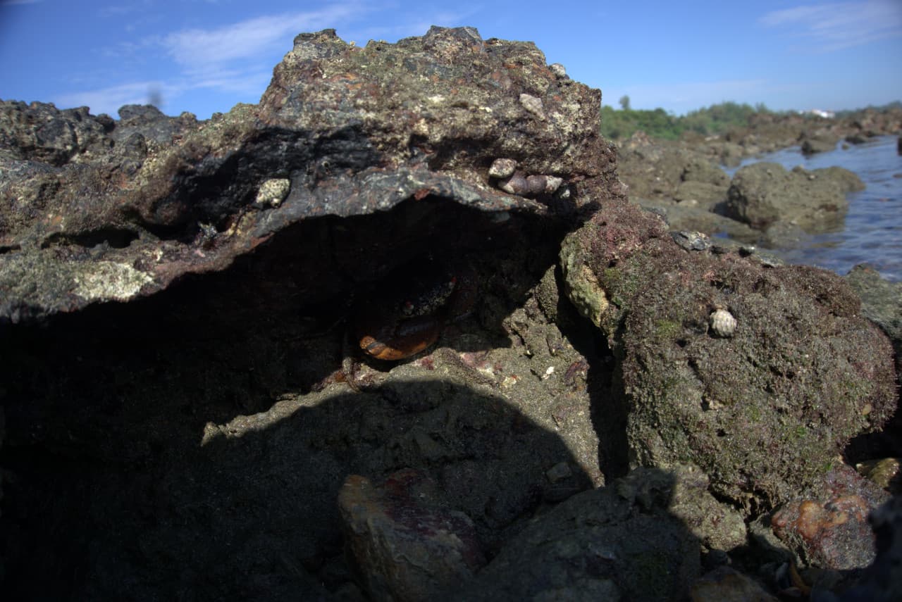 Desaru Beach and Tide Pool Walk – photo 39