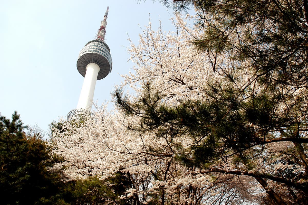N Seoul Tower Ticket