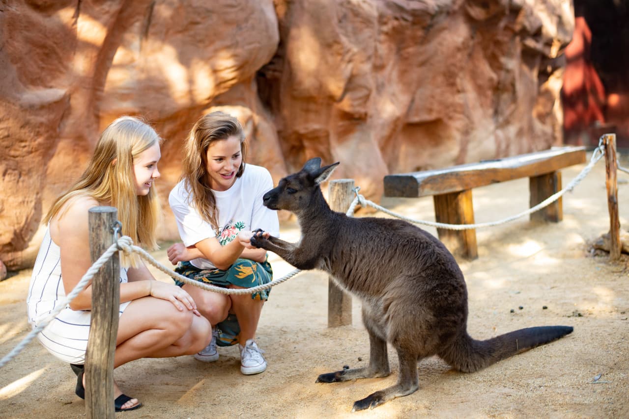 WILD LIFE Sydney Zoo Direct Entry Ticket – photo 2