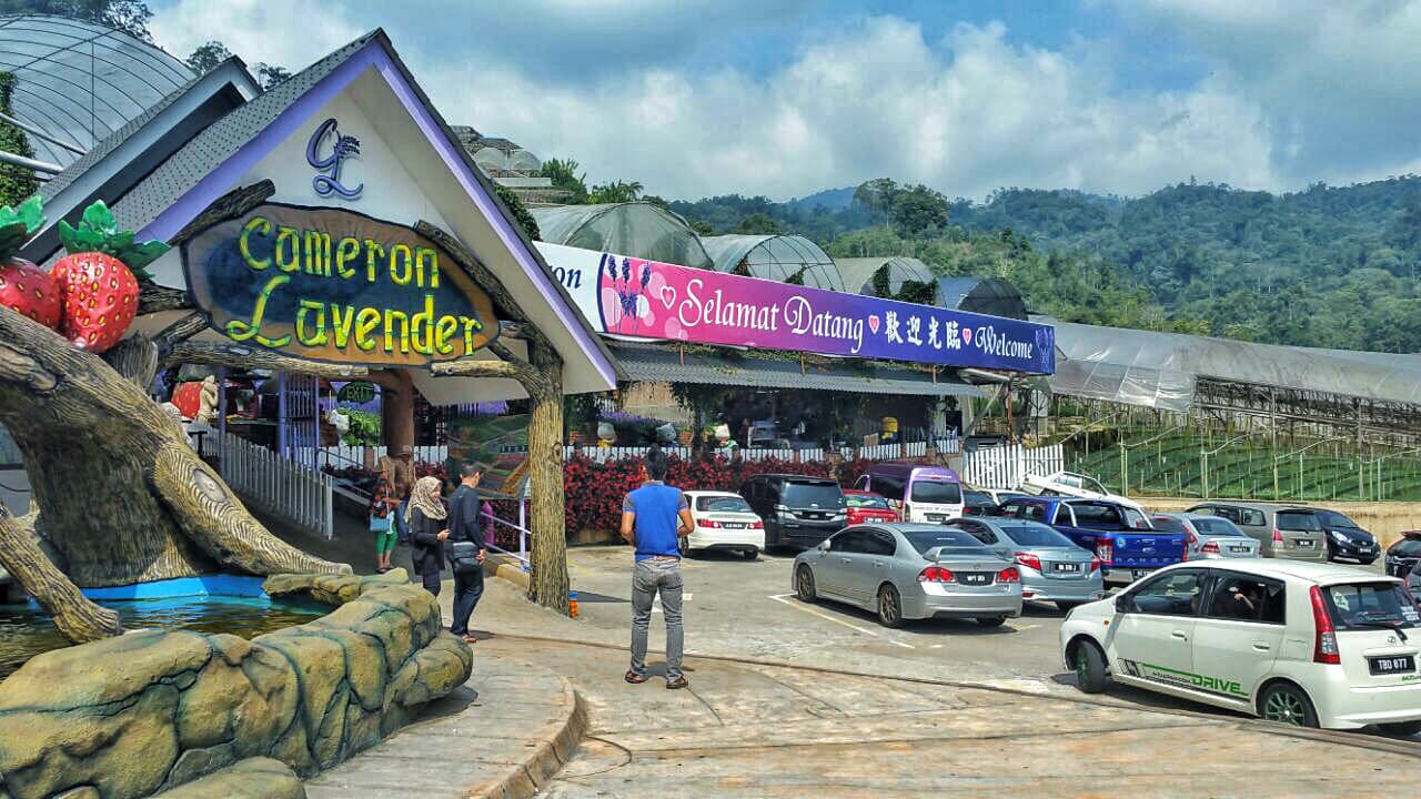 Cameron Highlands Tour from Kuala Lumpur – photo 11