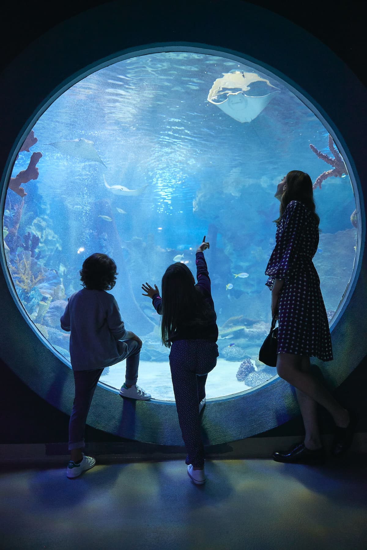 Emaar Aquarium and Underwater Zoo Ticket