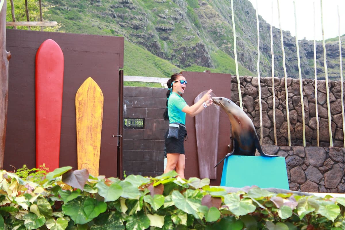 Sea Life Park Hawaii