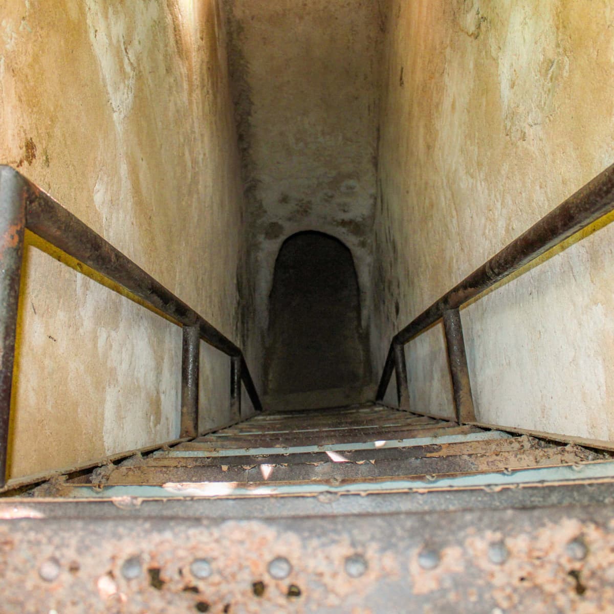 Cu Chi Tunnels and Mekong Delta Full-Day Tour from Ho Chi Minh