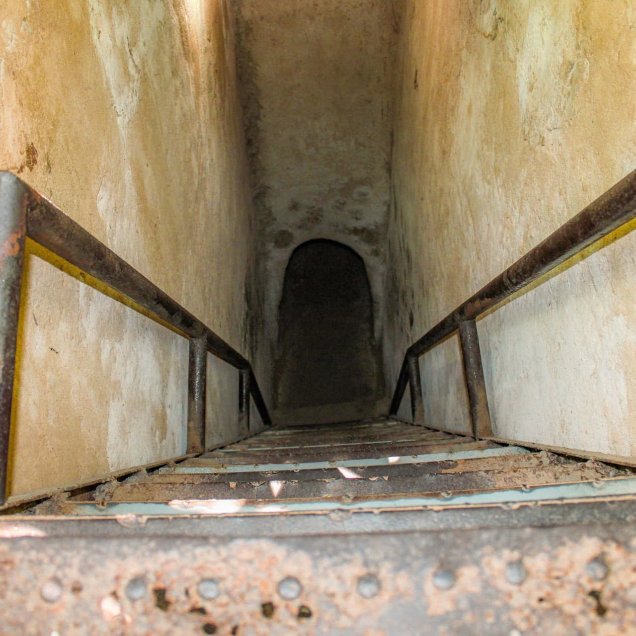 Cu Chi Tunnels and Mekong Delta Full-Day Tour from Ho Chi Minh – photo 4