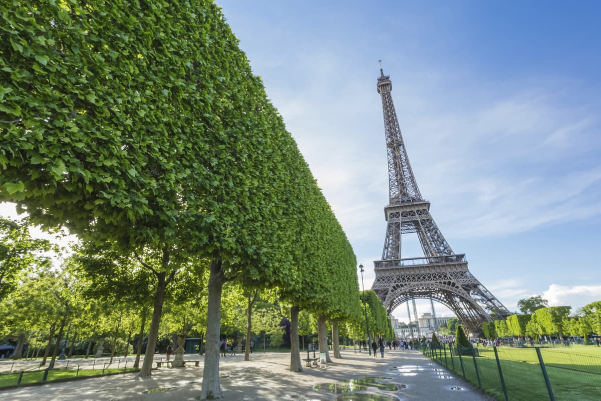 Paris Open-Top Bus Tour, Seine River Cruise, and Eiffel Tower Dining Experience