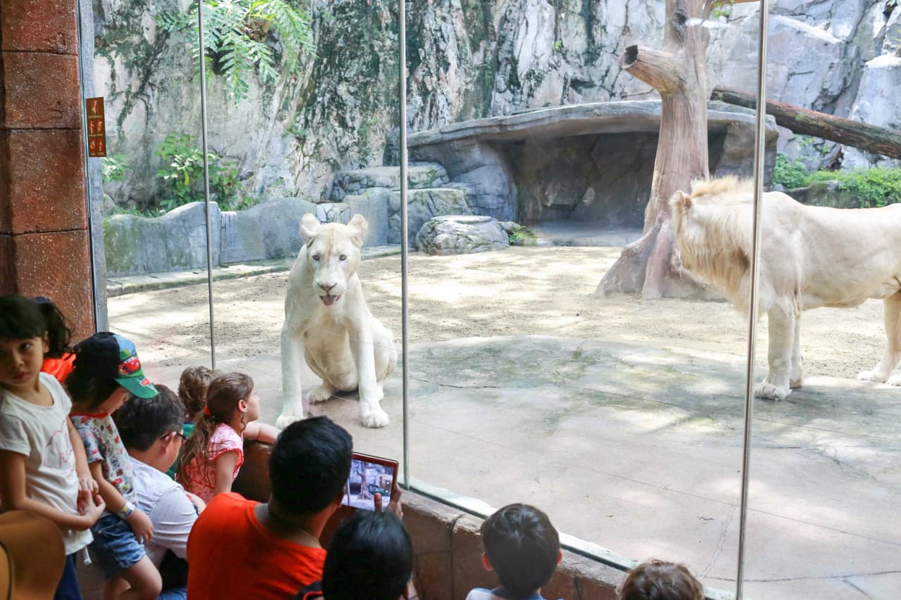 Sunway Lagoon Theme Park Ticket – photo 14