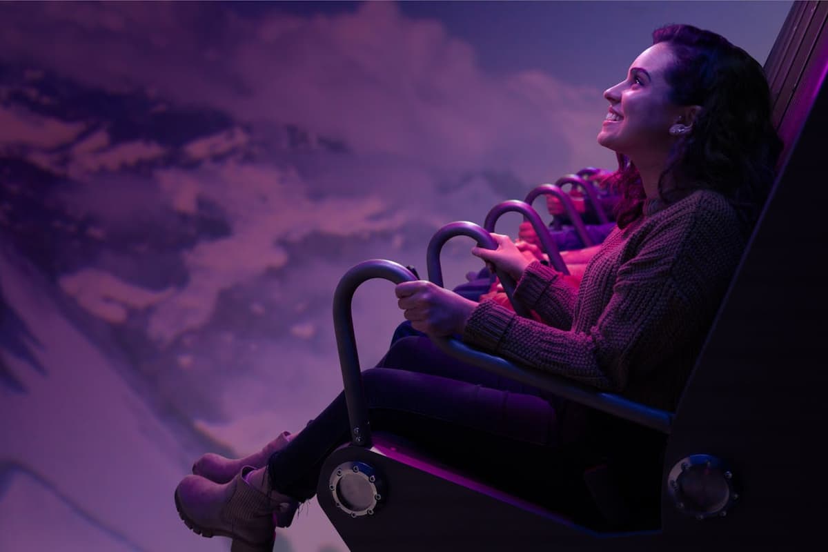 Flyover Experience in Chicago Ticket