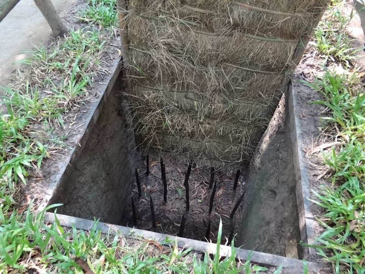 Cu Chi Tunnels Tour from Ho Chi Minh City