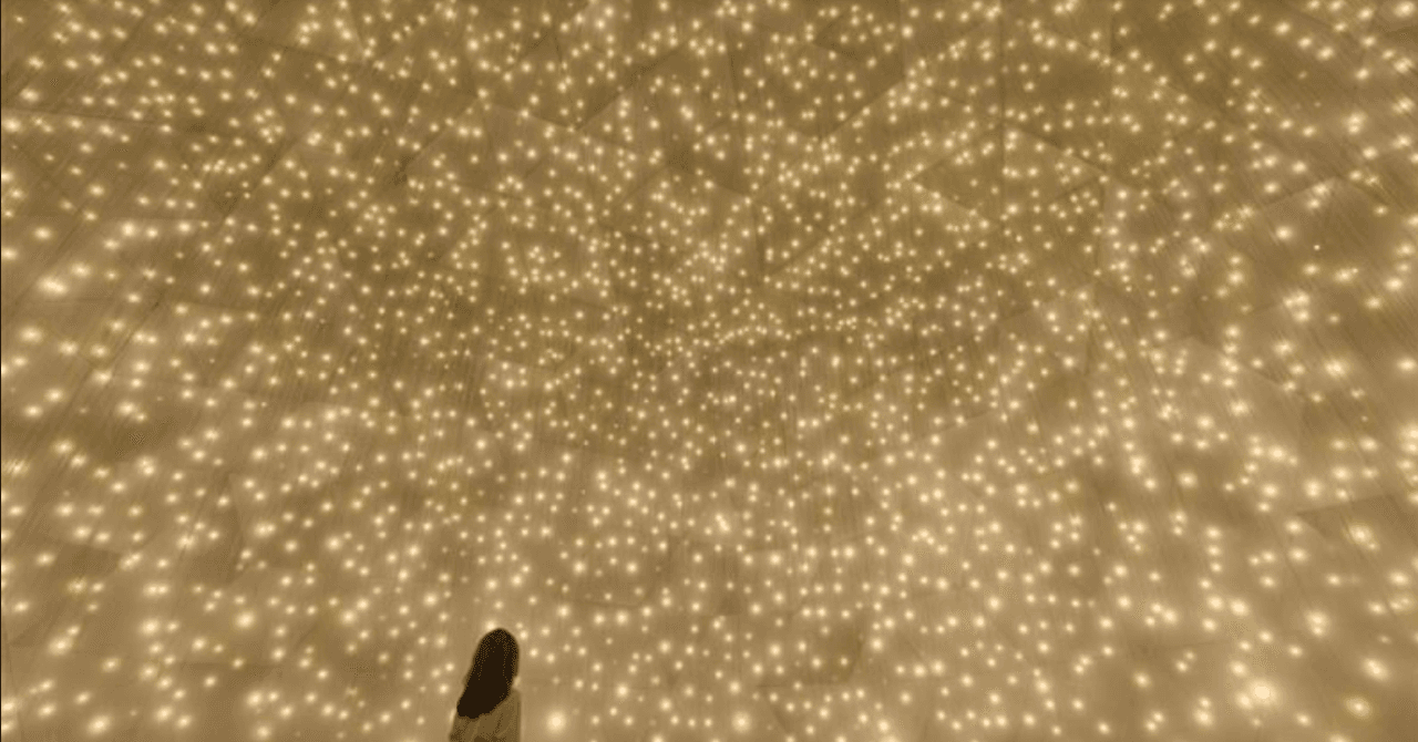 teamLab Phenomena Abu Dhabi Ticket – photo 14