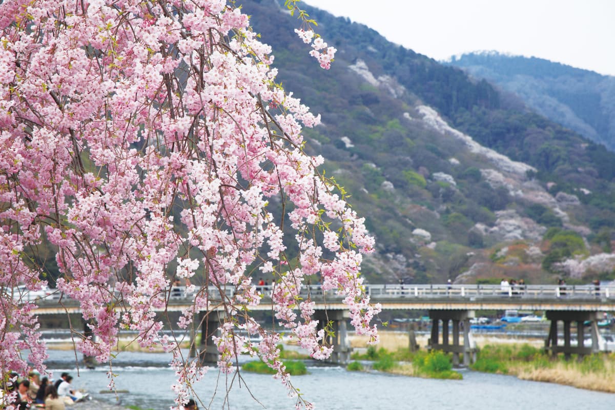 Hankyu One-Day Pass